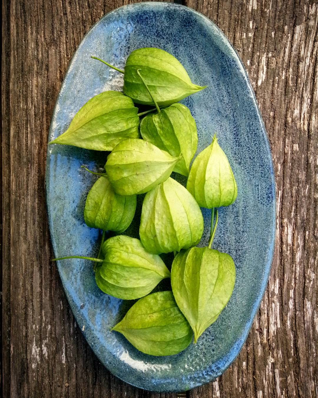 Розмір 29*17 #ceramics #clay #pottery #janeandmery #plate #table #kitchen #decor #art #home #homesweethome #homedecor #craft #handmade #handceramics #керамика #кераміка #глина #арт #посуд #декор #ручнаяработа #ручналіпка #керамікаукраїна #тарілка #тарелка #посуда — авторський виріб ручної роботи з гутного скла / порцеляни, майстерня Jane and Mery