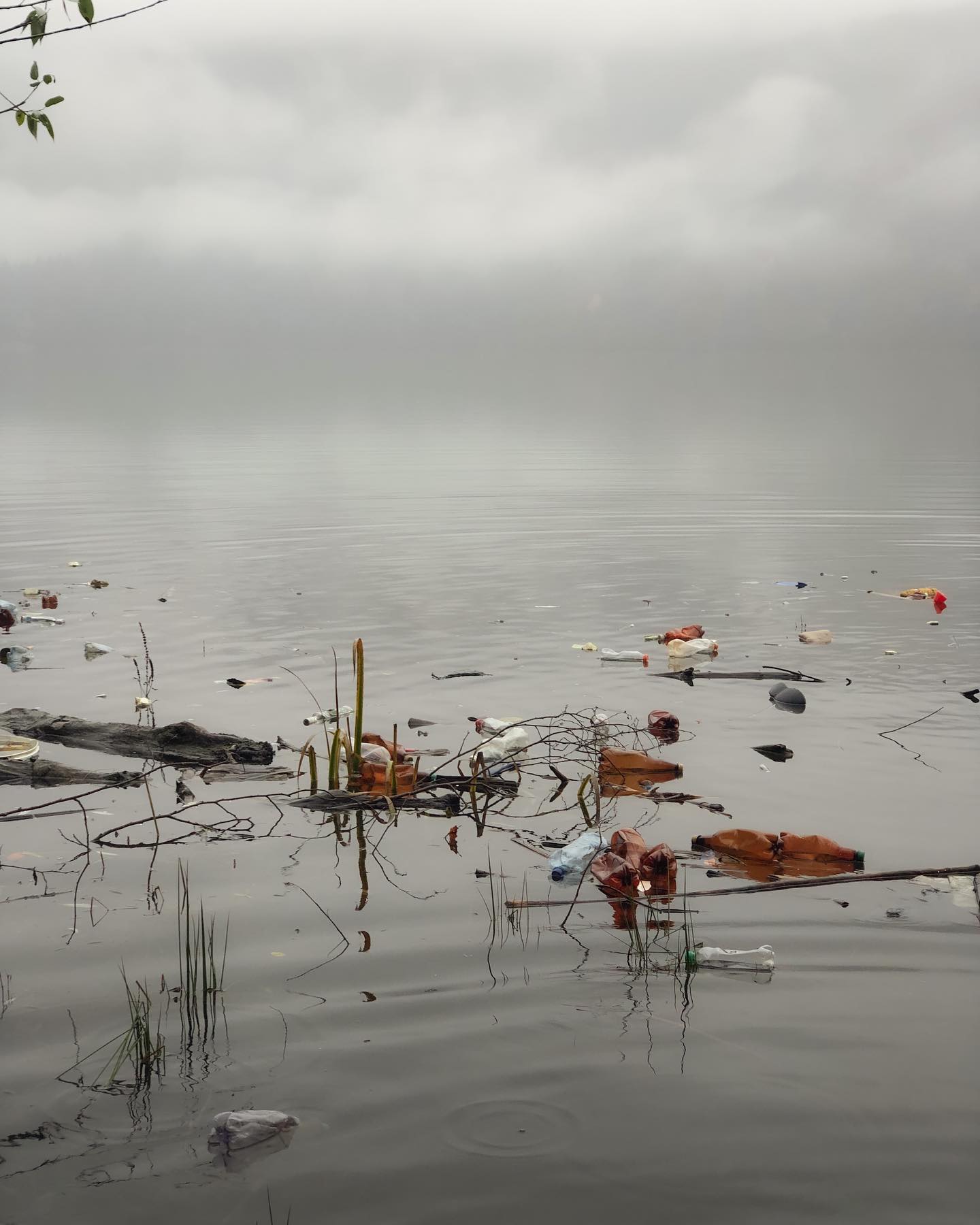 Сьогодні знов зібрались з @chysto.de на Вільшанському водосховищі, для заключного в цьому році прибиранні сміття. В дощ, і в холод, в резинових чоботах, з дощовиками, і вірою в серці, що ми на правильному шляху. Нажаль на берегах ще багато сміття, які дочекаються на нас весною — додатковий ракурс 4, ручна робота майстерні Jane and Mery
